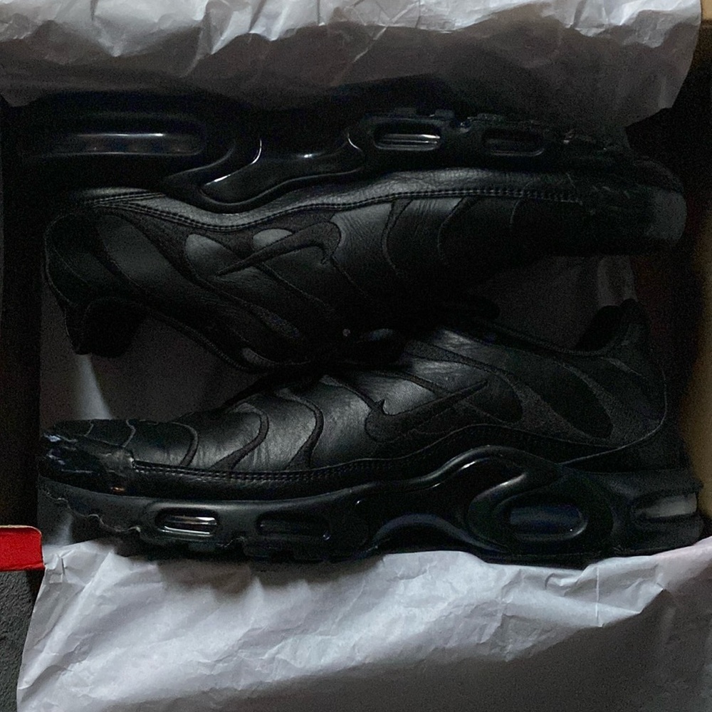 Nike Air Max Plus Shoes